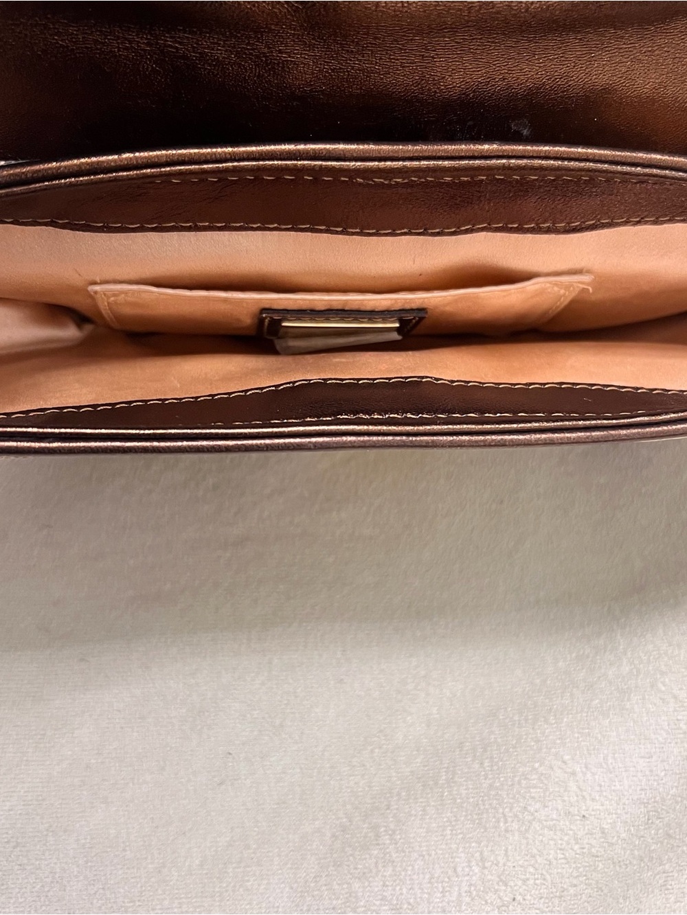 Fendi Iridescent Snake-Embossed Shoulder Bag in Gold, Brown, Cream, Black - Picture 6 of 9